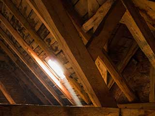 Attic Cleaning Services | Attic Cleaning San Pablo, CA Attic Cleaning Services | Attic Cleaning San Pablo, CA